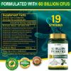 Probiotics, 60 Billion CFU 19 Strains Prebiotic Blend, Keep Digestive System Healthy, Immune System Enhancement Probiotics for Women Men, 60 Veggie Capsules