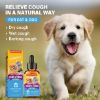 Picture of Cough Treatment for Dogs, Pet Allergy Relief & Natural Respiratory Support, Natural Herbal Supplement for Dogs & Cats Health