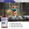 Picture of Multivitamin for Dogs | Dog Multivitamin | For Joint Support, Gut & Immune Health, Skin & Heart Health | Dog Vitamins and Supplements | Dog Vitamins Multivitamin | Dog Supplements & Vitamins | 1 fl oz
