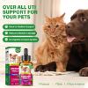 Picture of Fancy Pets Cat & Dog Urinary Tract Infection Treatment, Natural UTI Care Drops, Kidney and Bladder Support Supplement, Prevention Incontinence & Bladder Stones, Keep Pet Renal Health, 60ml