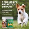Picture of Probiotic for Dogs, Probiotic Chews for Dogs with Digestive Enzymes, Dog Probiotics for Yeast, Itchy Skin and Itchy Ears, Freshen Breath, Support Bowel, Immune, Digestive Health